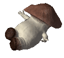 MushroomAAAHHH Discord emoji