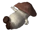 MushroomAAAHHH
