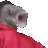 pogfish