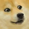 doge