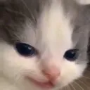 EvilGrin