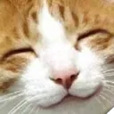veryhappycat