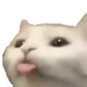 Qs Catbleh Discord Emoji