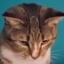 ccc_toast_cute_rip_NF2U Discord emoji