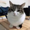 awawa