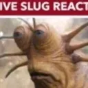 liveslugreact liveslugreact
