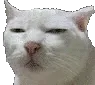 DGcatSus