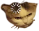Buffering Cat Discord Emoji