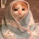 bigsadcry Discord Emoji