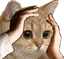 ohno