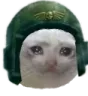 guardcat