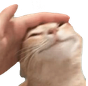 pet Discord emoji