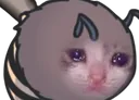 cryingbee
