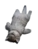 Catdead CatDead Discord Emoji