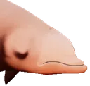 FeelsBadMan FeelsBadMan