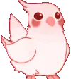 BirbRave