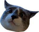 babou Discord emoji