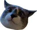 babou babou
