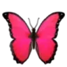 Redbutterfly redbutterfly Discord Emoji