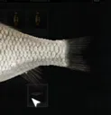 crucian
