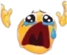NOOOO