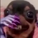 HEHE