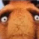 whatthefuck whatthefuck
