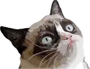grumpycat grumpycat