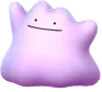 Ditto Ditto
