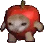 applecatspin