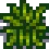 SDVitemweeds