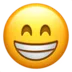 emoji_13 emoji_13