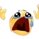 cri cri