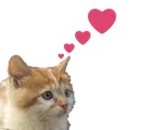 4727kittenhearts Discord Emoji