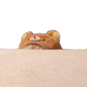WL_Bear_Cat_Hide Discord emoji