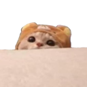 WL_Bear_Cat_Peek Discord emoji