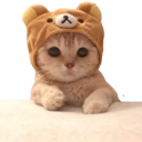 WL_Bear_Cat_Hi Discord emoji