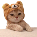 WL_Bear_Cat_Sleepy Discord emoji