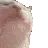 catbob catbob