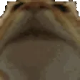 bignod bignod