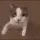 OSCAR_T3Aa7bk OSCAR_T3Aa7bk