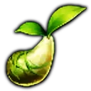 mokokoseed