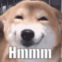 dog_hmmm