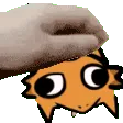 RWlizardpet