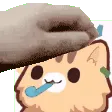petArrow