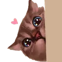 CE_AnmKittyPeek CE_AnmKittyPeek