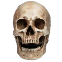 emoji_22
