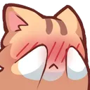 blushcatorange