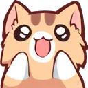 wowcat