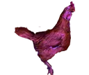 LeCock